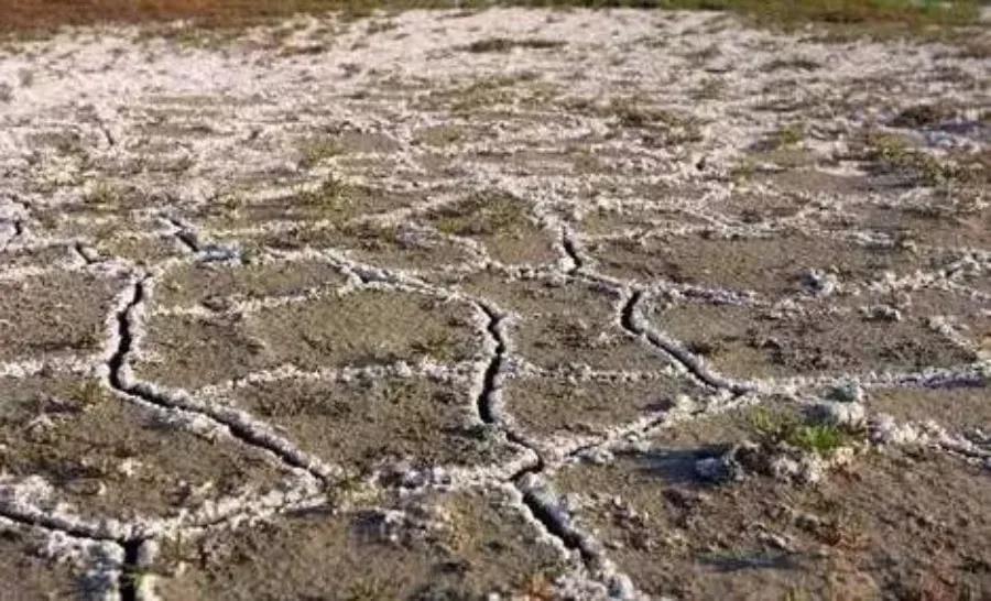 Soil organic Soil organic