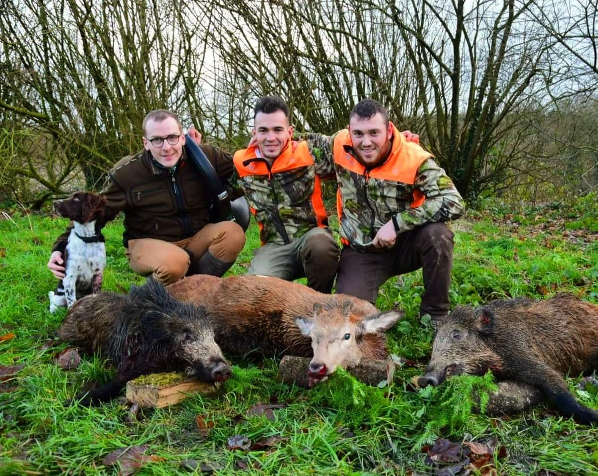 chasse au cervidés et sanglier en Bretagne avec Chasse HD chasse au cervidés et sanglier en Bretagne avec Chasse HD