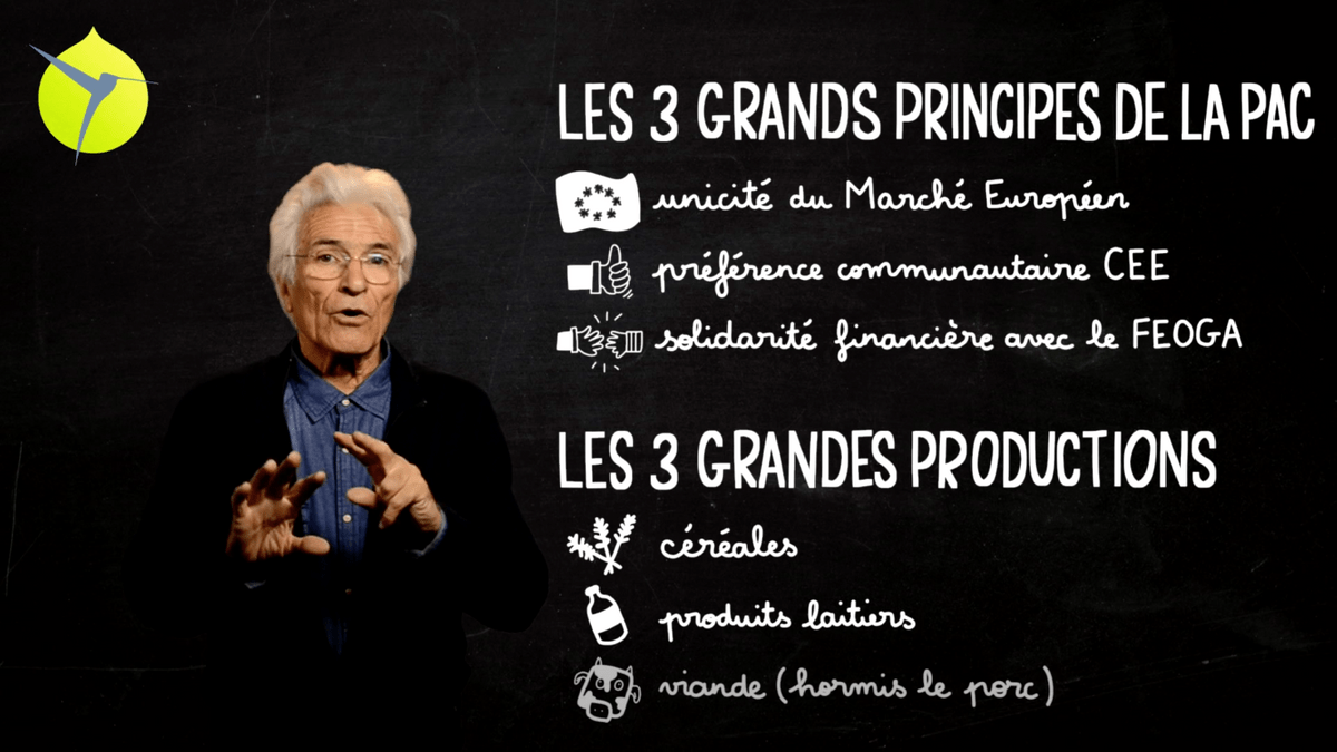 facilitation graphique, facilitation visuelle, sketchnotes, infographie, videoscribing, hélène pouille, agriculture, pac, politique agricole commune, écologie, colibris facilitation graphique, facilitation visuelle, sketchnotes, infographie, videoscribing, hélène pouille, agriculture, pac, politique agricole commune, écologie, colibris