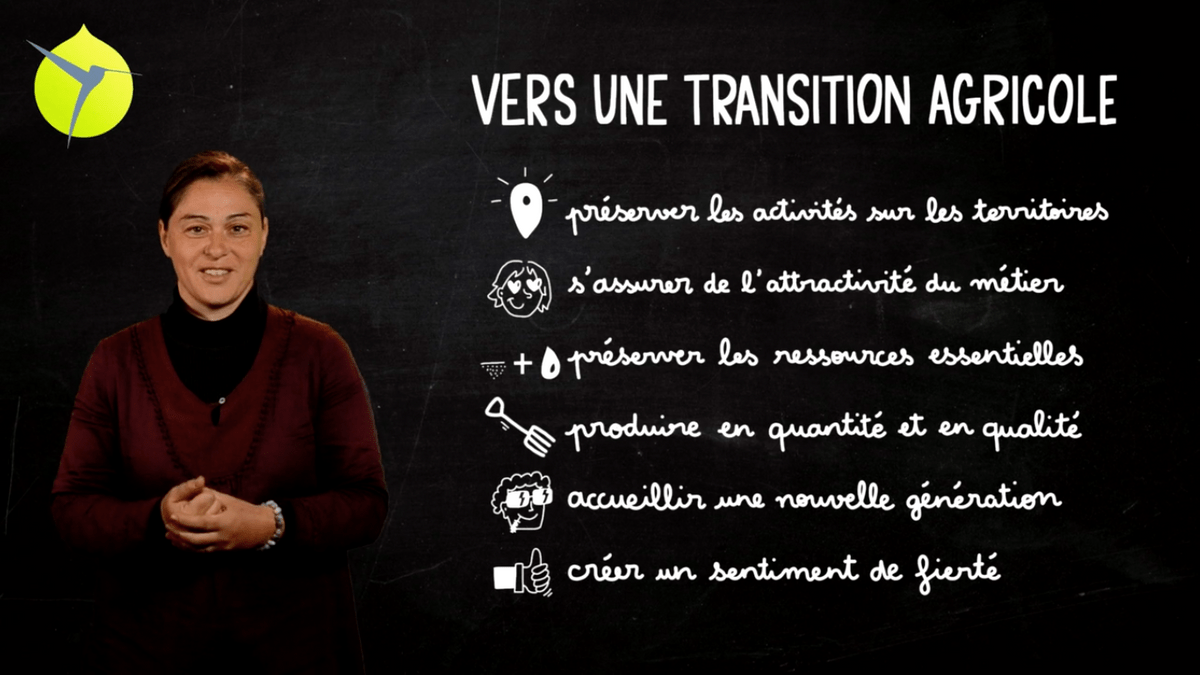 facilitation graphique, facilitation visuelle, sketchnotes, infographie, videoscribing, hélène pouille, agriculture, pac, politique agricole commune, écologie, colibris facilitation graphique, facilitation visuelle, sketchnotes, infographie, videoscribing, hélène pouille, agriculture, pac, politique agricole commune, écologie, colibris