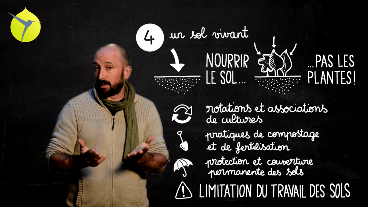 facilitation graphique, facilitation visuelle, sketchnotes, infographie, videoscribing, hélène pouille, agroécologie, écologie, colibris facilitation graphique, facilitation visuelle, sketchnotes, infographie, videoscribing, hélène pouille, agroécologie, écologie, colibris