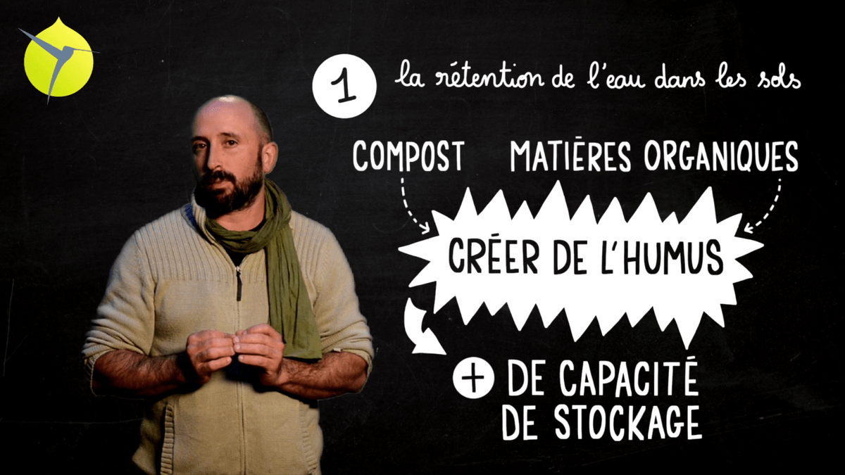 facilitation graphique, facilitation visuelle, sketchnotes, infographie, videoscribing, hélène pouille, agroécologie, écologie, colibris facilitation graphique, facilitation visuelle, sketchnotes, infographie, videoscribing, hélène pouille, agroécologie, écologie, colibris