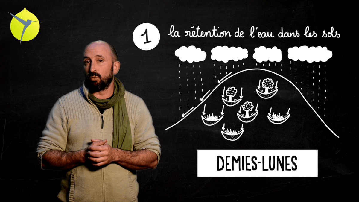 facilitation graphique, facilitation visuelle, sketchnotes, infographie, videoscribing, hélène pouille, agroécologie, écologie, colibris facilitation graphique, facilitation visuelle, sketchnotes, infographie, videoscribing, hélène pouille, agroécologie, écologie, colibris
