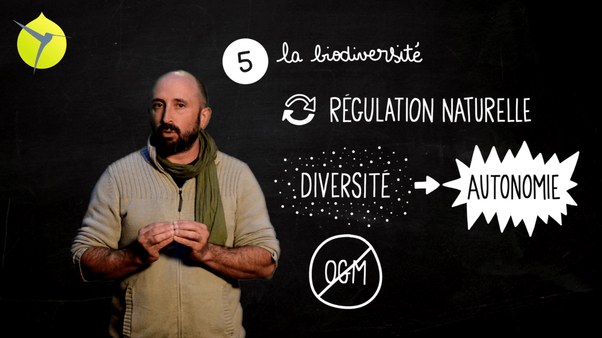 facilitation graphique, facilitation visuelle, sketchnotes, infographie, videoscribing, hélène pouille, agroécologie, écologie, colibris facilitation graphique, facilitation visuelle, sketchnotes, infographie, videoscribing, hélène pouille, agroécologie, écologie, colibris