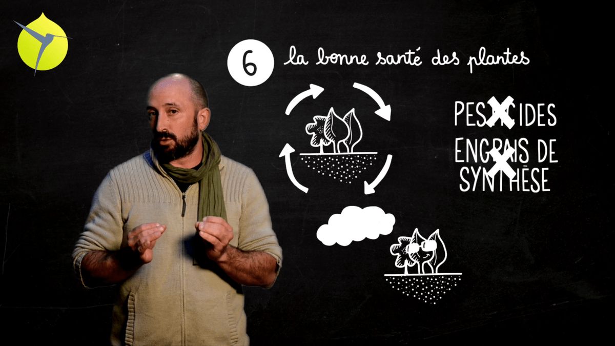 facilitation graphique, facilitation visuelle, sketchnotes, infographie, videoscribing, hélène pouille, agroécologie, écologie, colibris facilitation graphique, facilitation visuelle, sketchnotes, infographie, videoscribing, hélène pouille, agroécologie, écologie, colibris