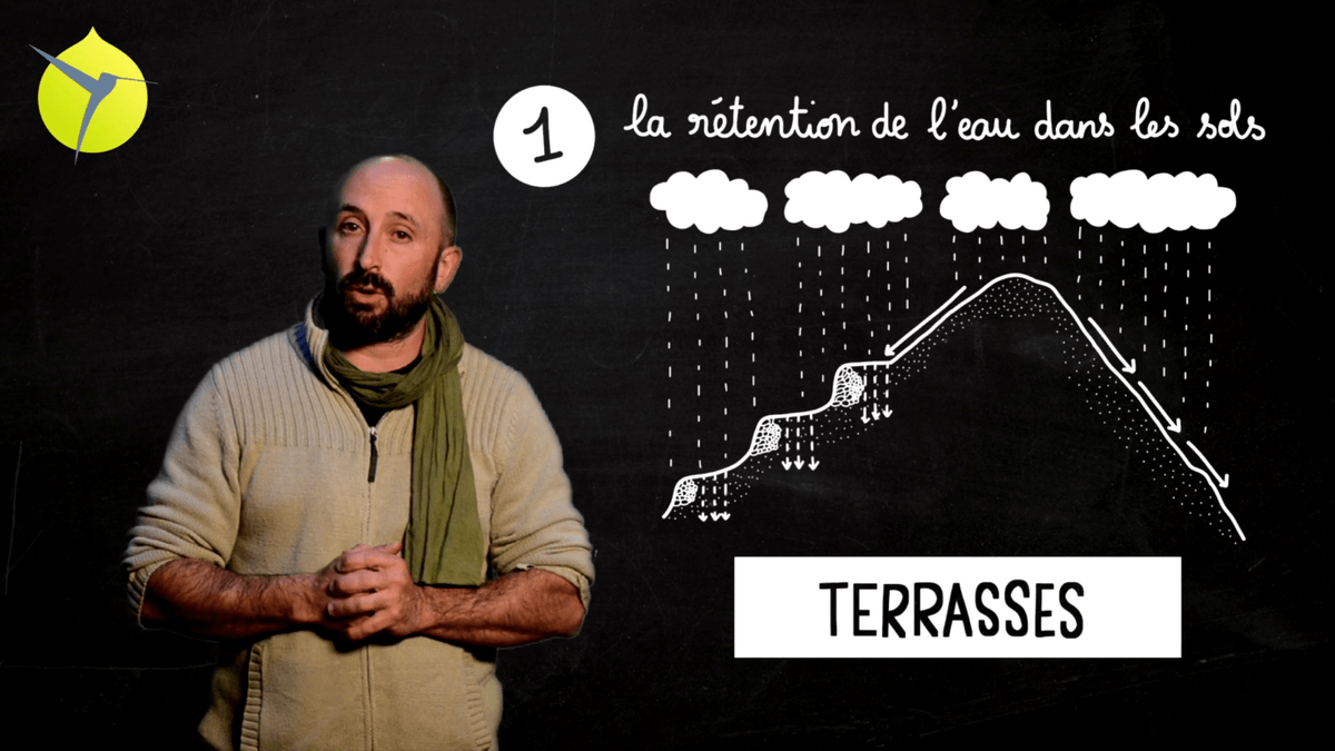 facilitation graphique, facilitation visuelle, sketchnotes, infographie, videoscribing, hélène pouille, agroécologie, écologie, colibris facilitation graphique, facilitation visuelle, sketchnotes, infographie, videoscribing, hélène pouille, agroécologie, écologie, colibris