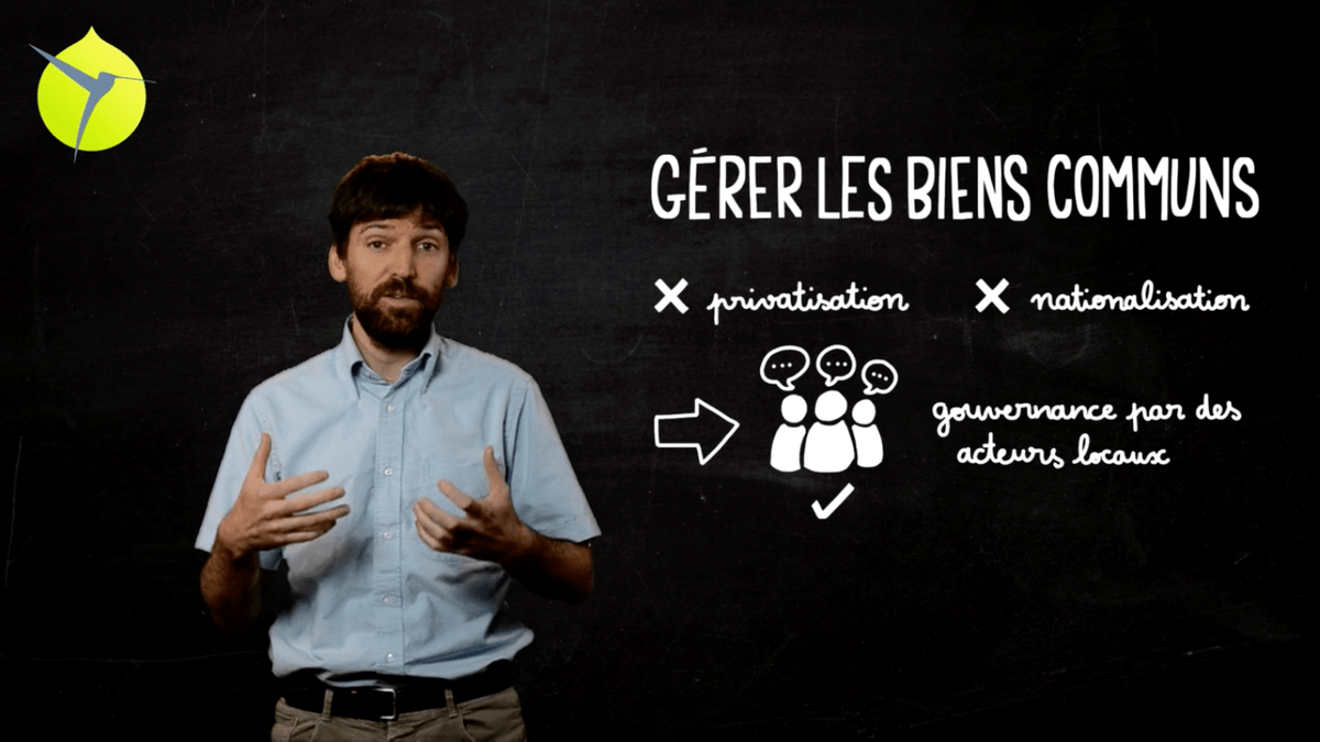 facilitation graphique, facilitation visuelle, sketchnotes, videoscribing, hélène pouille, colibris, éducation, école facilitation graphique, facilitation visuelle, sketchnotes, videoscribing, hélène pouille, colibris, éducation, école