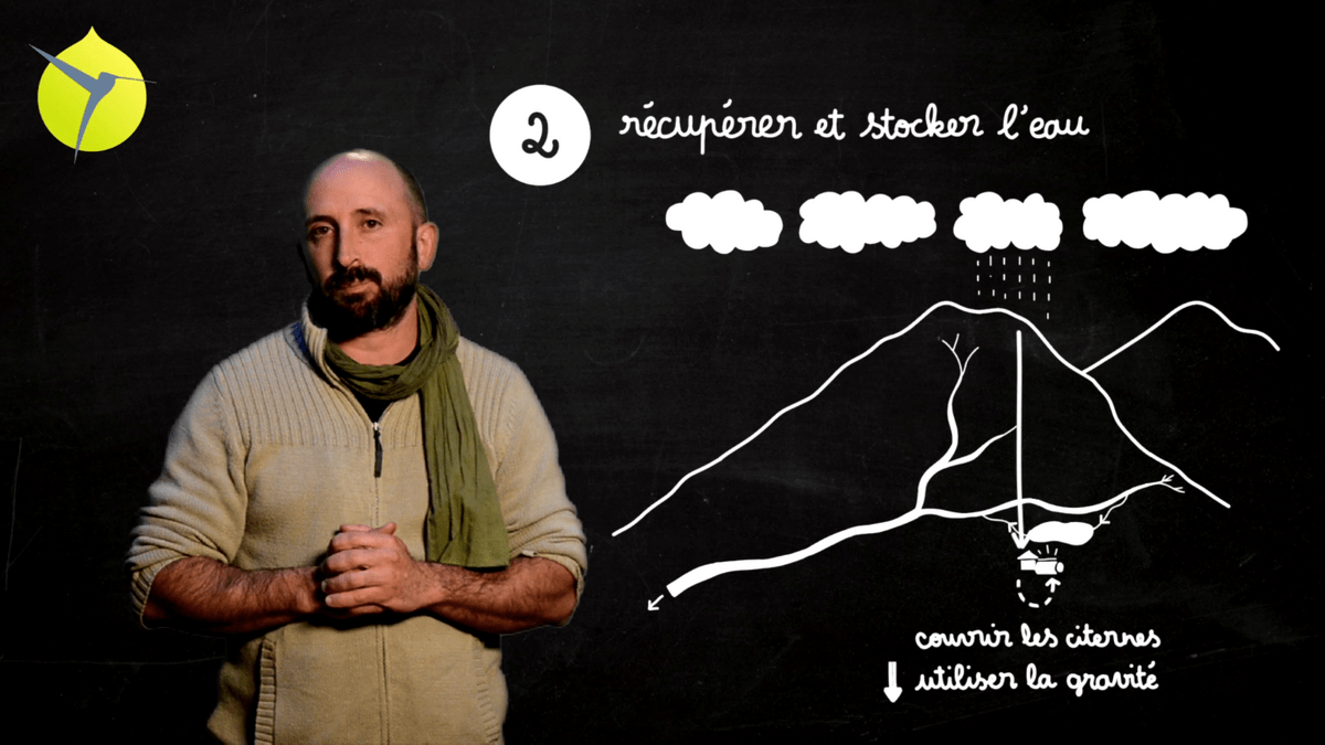 facilitation graphique, facilitation visuelle, sketchnotes, infographie, videoscribing, hélène pouille, agroécologie, écologie, colibris facilitation graphique, facilitation visuelle, sketchnotes, infographie, videoscribing, hélène pouille, agroécologie, écologie, colibris