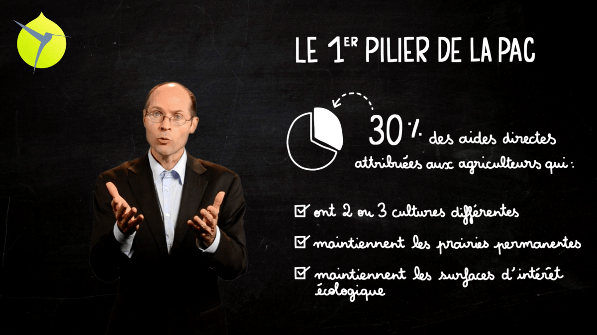 facilitation graphique, facilitation visuelle, sketchnotes, infographie, videoscribing, hélène pouille, agriculture, pac, politique agricole commune, écologie, colibris facilitation graphique, facilitation visuelle, sketchnotes, infographie, videoscribing, hélène pouille, agriculture, pac, politique agricole commune, écologie, colibris