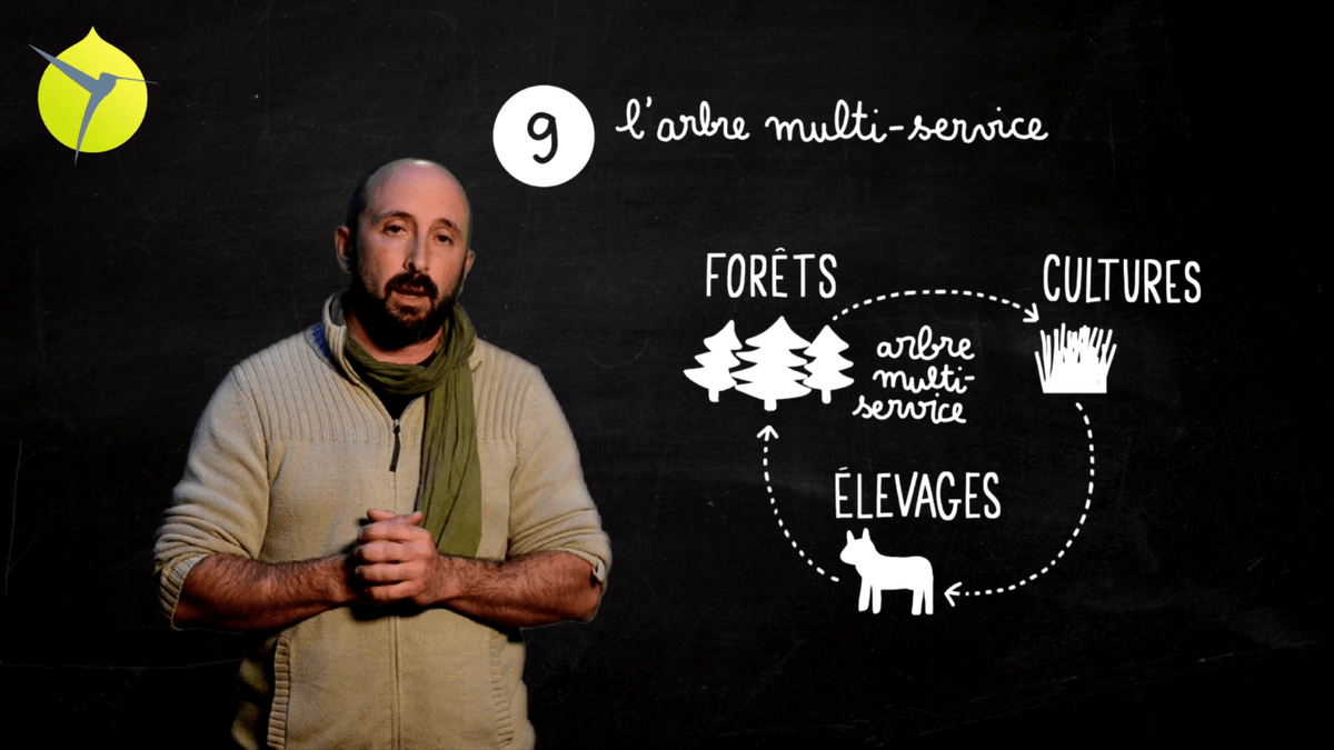facilitation graphique, facilitation visuelle, sketchnotes, infographie, videoscribing, hélène pouille, agroécologie, écologie, colibris facilitation graphique, facilitation visuelle, sketchnotes, infographie, videoscribing, hélène pouille, agroécologie, écologie, colibris