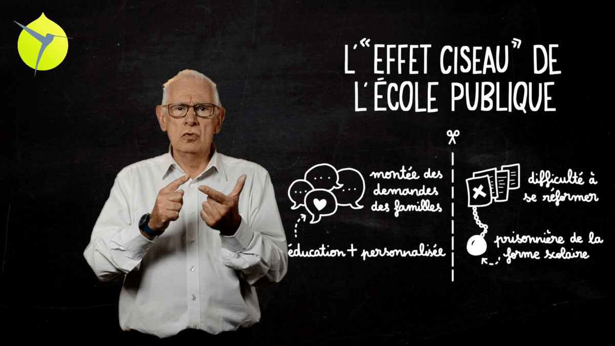 facilitation graphique, facilitation visuelle, sketchnotes, videoscribing, hélène pouille, colibris, éducation, école facilitation graphique, facilitation visuelle, sketchnotes, videoscribing, hélène pouille, colibris, éducation, école