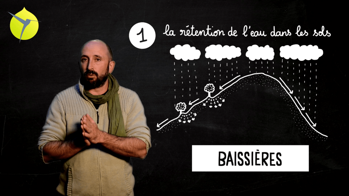facilitation graphique, facilitation visuelle, sketchnotes, infographie, videoscribing, hélène pouille, agroécologie, écologie, colibris facilitation graphique, facilitation visuelle, sketchnotes, infographie, videoscribing, hélène pouille, agroécologie, écologie, colibris