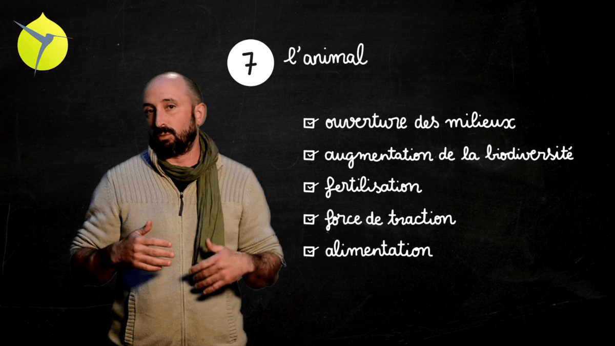 facilitation graphique, facilitation visuelle, sketchnotes, infographie, videoscribing, hélène pouille, agroécologie, écologie, colibris facilitation graphique, facilitation visuelle, sketchnotes, infographie, videoscribing, hélène pouille, agroécologie, écologie, colibris