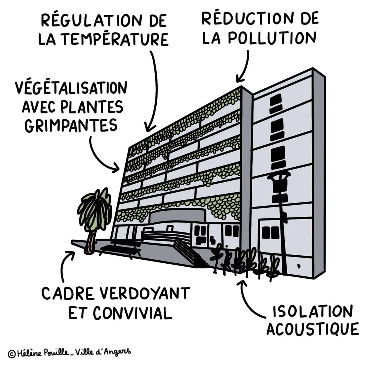 facilitation graphique, facilitation visuelle, infographie, sketchnotes, hélène pouille, budget participatif, angers facilitation graphique, facilitation visuelle, infographie, sketchnotes, hélène pouille, budget participatif, angers