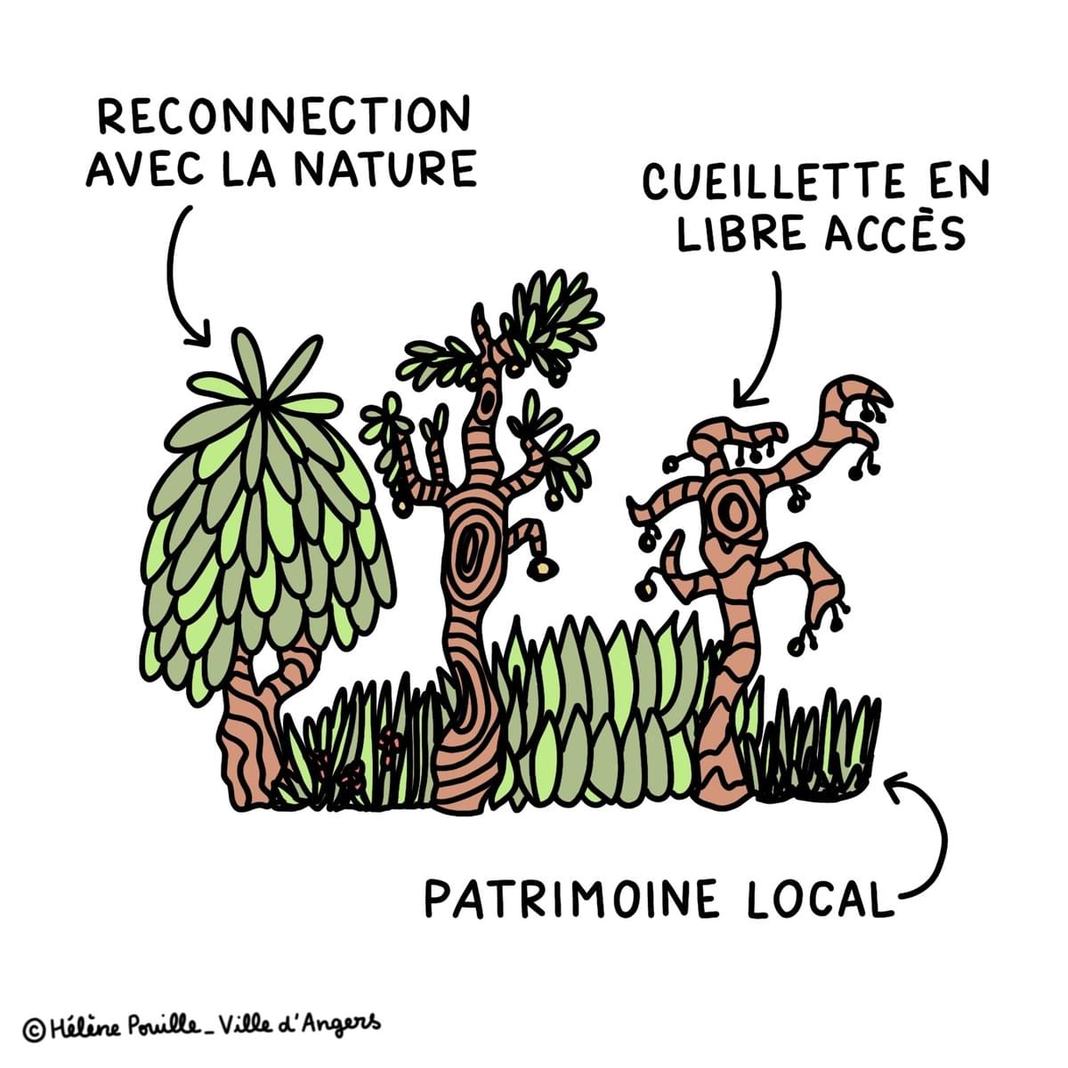 facilitation graphique, facilitation visuelle, infographie, sketchnotes, hélène pouille, budget participatif, angers facilitation graphique, facilitation visuelle, infographie, sketchnotes, hélène pouille, budget participatif, angers