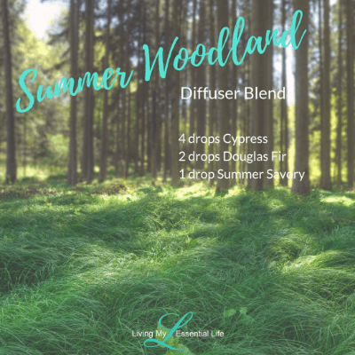 enjoy the fresh smell of walking in nature, you'll love this blend! The Summer Woodland diffuser blend enjoy the fresh smell of walking in nature, you'll love this blend! The Summer Woodland diffuser blend