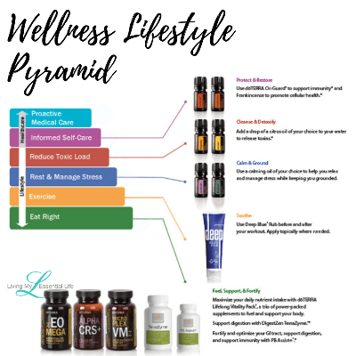 Each level in the Wellness Lifestyle Pyramid contributes to a healthy life and you can begin to build your healthy habits. Each level in the Wellness Lifestyle Pyramid contributes to a healthy life and you can begin to build your healthy habits.