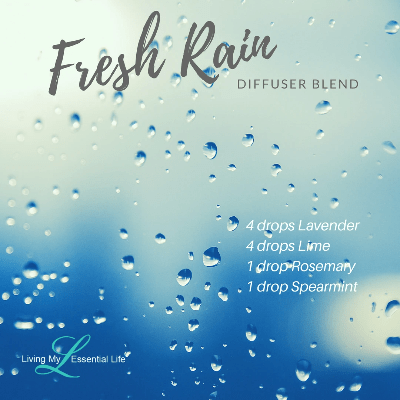 Fresh rain diffuser blend smells like rain fall and a cleansed earth Fresh rain diffuser blend smells like rain fall and a cleansed earth