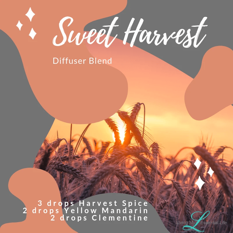 Top 12 Halloween Diffuser Blends - Sweet Harvest Top 12 Halloween Diffuser Blends - Sweet Harvest