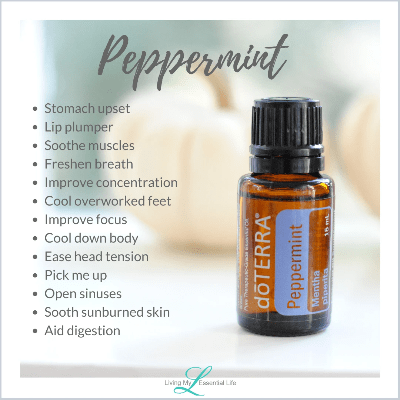 top uses for peppermint essential oil - Stomach upset Lip plumper Soothe muscles Freshen breath Improve concentration Cool overworked feet Improve focus Cool down body Ease head tension Pick me up Open sinuses Sooth sunburned skin Aid digestion top uses for peppermint essential oil - Stomach upset Lip plumper Soothe muscles Freshen breath Improve concentration Cool overworked feet Improve focus Cool down body Ease head tension Pick me up Open sinuses Sooth sunburned skin Aid digestion