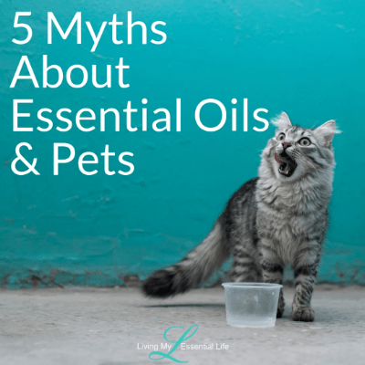 5 Myths About Essential Oils & Pets 5 Myths About Essential Oils & Pets