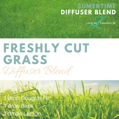 If you love the smell of freshly cut grass then try this essential oil diffuser blend. If you love the smell of freshly cut grass then try this essential oil diffuser blend.