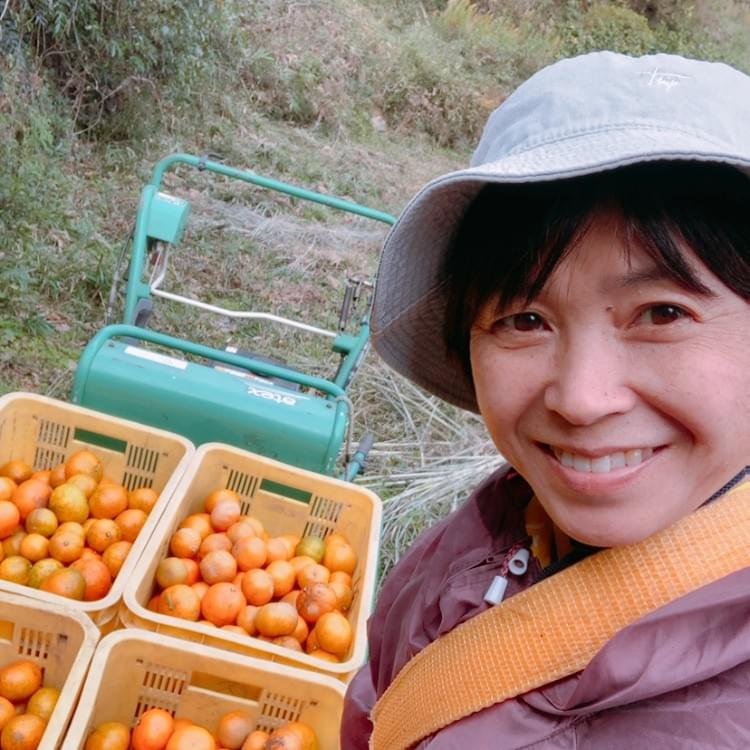 量が少なく一人で二日で収穫が終わりました。 量が少なく一人で二日で収穫が終わりました。