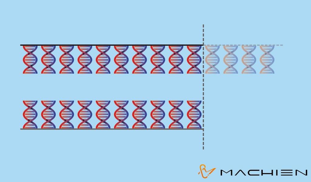 美謙實業 (MACHIEN Inc.)-流失的DNA 美謙實業 (MACHIEN Inc.)-流失的DNA