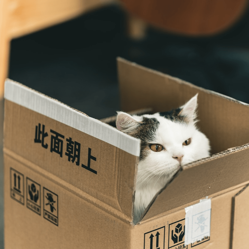 ダンボール 梱包箱 ダンボール 梱包箱