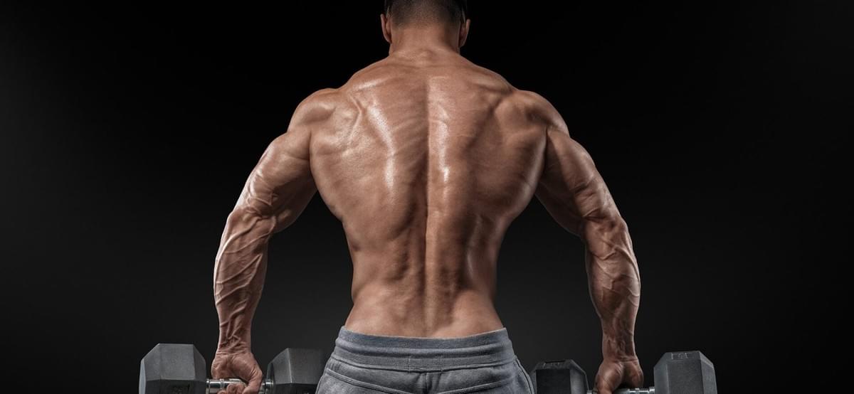steroids for sale steroids for sale