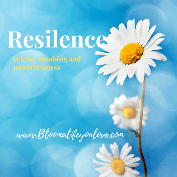 Resilience Resilience