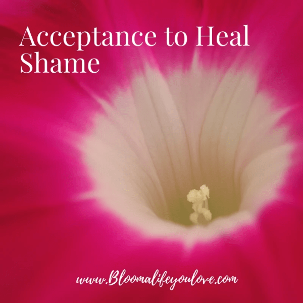 Acceptance to Heal Shame Acceptance to Heal Shame