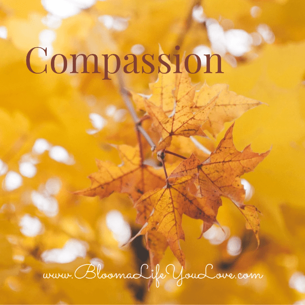 Compassion Compassion