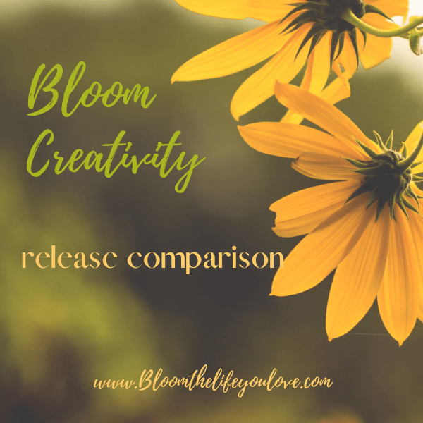 Bloom Creativity Bloom Creativity
