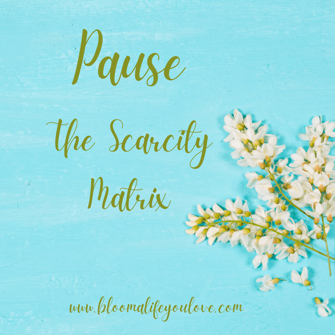Pause--The Scarcity Matrix Pause--The Scarcity Matrix