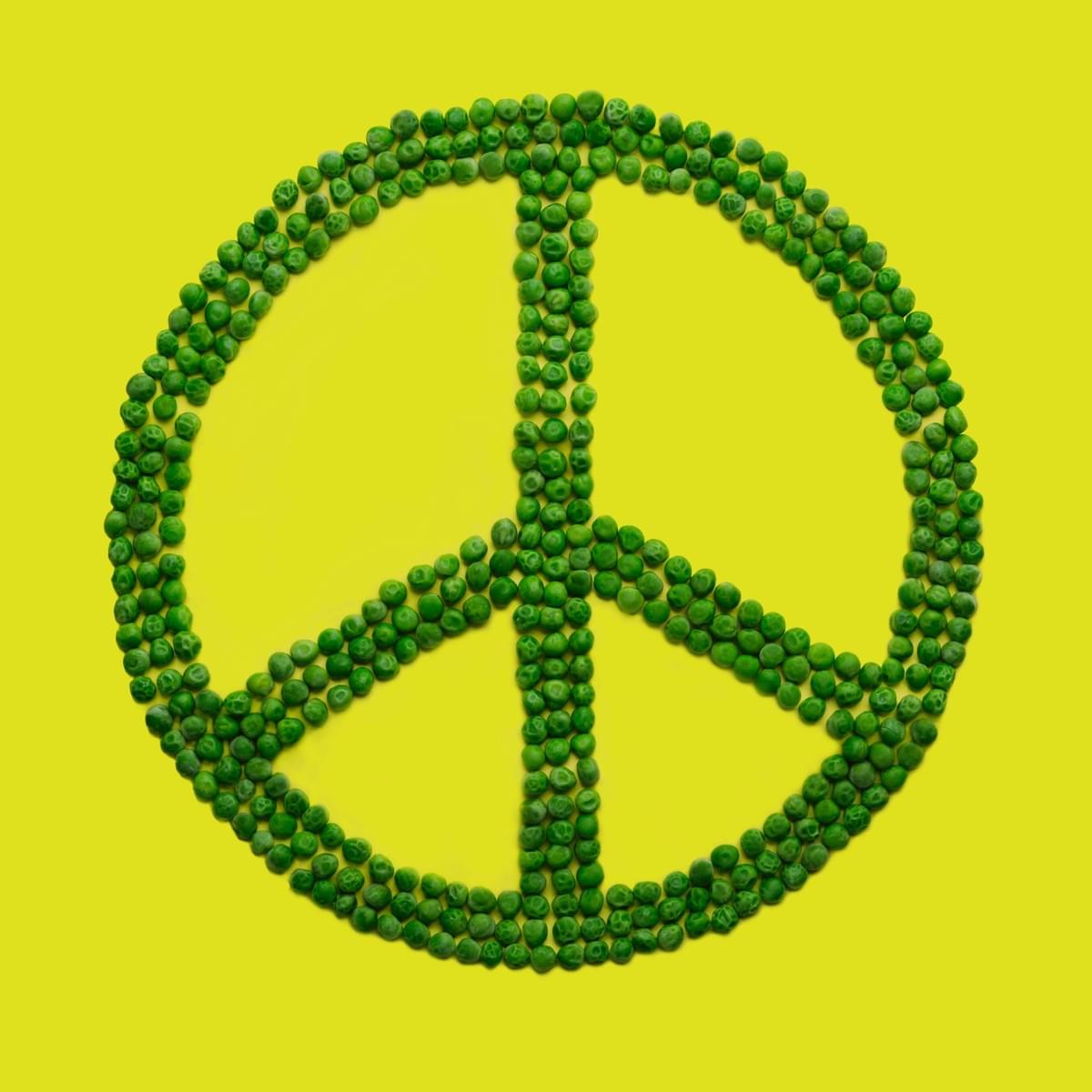 Peace sign made out of green peas- The Purple Dog Vegan special announcement post about the release of Give Peas a Chance, the first cookbook from The Purple Dog Vegan Peace sign made out of green peas- The Purple Dog Vegan special announcement post about the release of Give Peas a Chance, the first cookbook from The Purple Dog Vegan