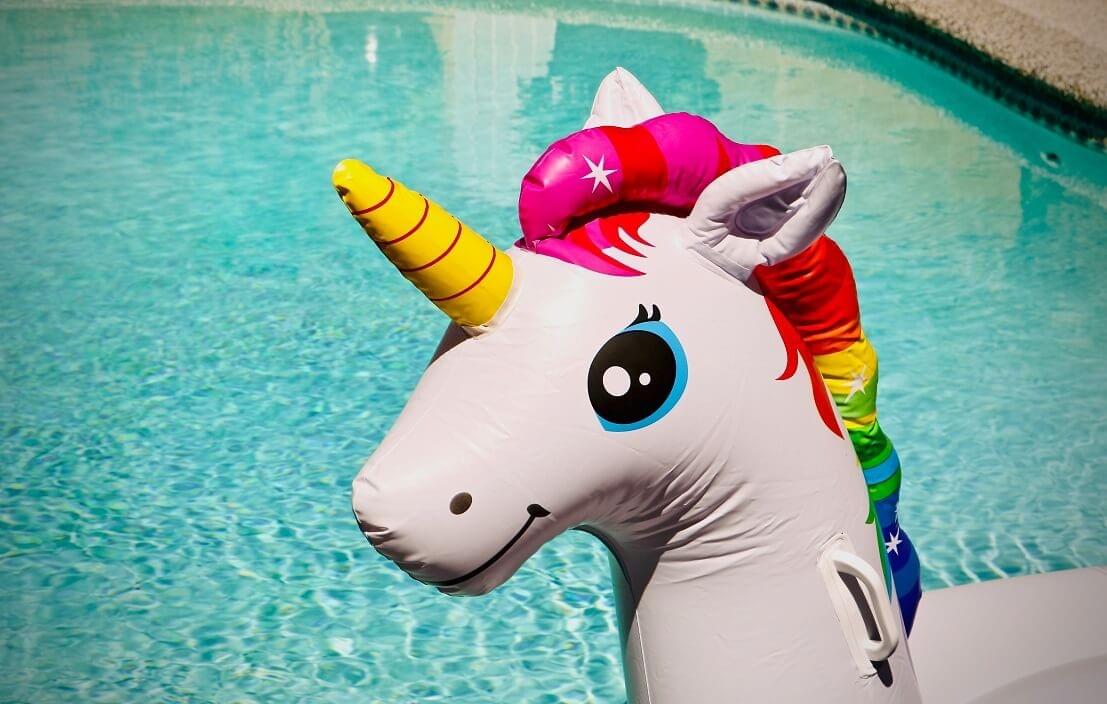 A photo of a unicorn pool float as featured in "Time Management is a Mythical Creature," a Purple Dog Blog post by The Purple Dog Vegan A photo of a unicorn pool float as featured in "Time Management is a Mythical Creature," a Purple Dog Blog post by The Purple Dog Vegan