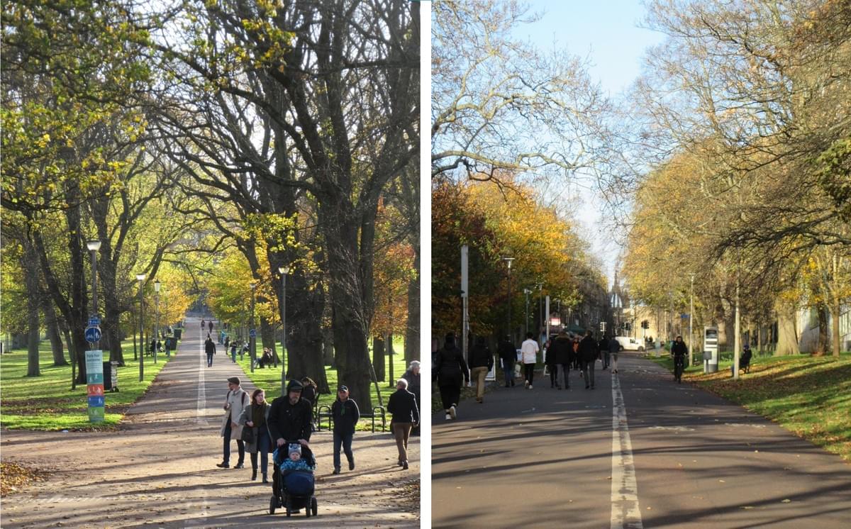 Middle Meadow Walk is the parks main avenue, originally planted either side with a double row of lime trees. Middle Meadow Walk is the parks main avenue, originally planted either side with a double row of lime trees.