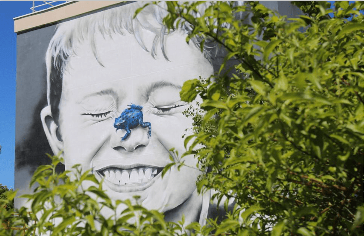 LE CRAPAUD SUR LE NEZ DE L'ENFANT PAR UN GRAFFEUR PROFESSIONNEL LE CRAPAUD SUR LE NEZ DE L'ENFANT PAR UN GRAFFEUR PROFESSIONNEL
