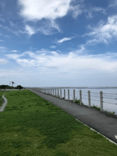 新天堂樂園旁的日出水鳥觀景平台 新天堂樂園旁的日出水鳥觀景平台