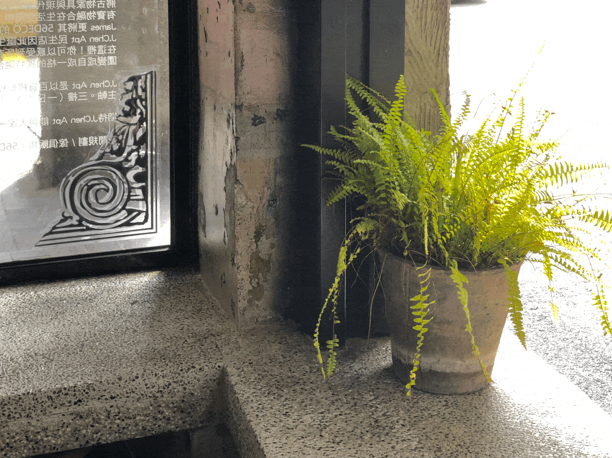 Oval coffee & 偷閒咖啡 Drop by coffee|雙連站咖啡廳,適合待一整個下午、遠離塵雕的廢墟風老公寓 Oval coffee & 偷閒咖啡 Drop by coffee|雙連站咖啡廳,適合待一整個下午、遠離塵雕的廢墟風老公寓