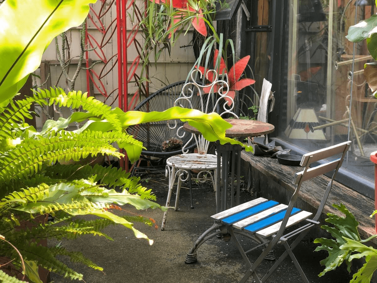 士林社子島的Black Heart Cafe,古董倉庫中遺世獨立的咖啡廳,裡面種了很多植物,綠意盎然 士林社子島的Black Heart Cafe,古董倉庫中遺世獨立的咖啡廳,裡面種了很多植物,綠意盎然