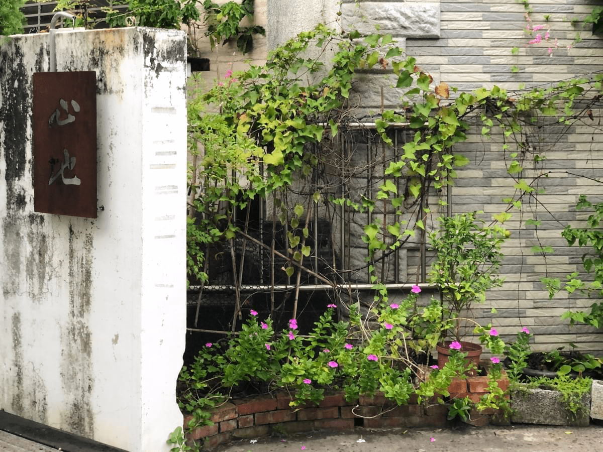 花蓮心地日常花蓮店門口很有綠意 花蓮心地日常花蓮店門口很有綠意