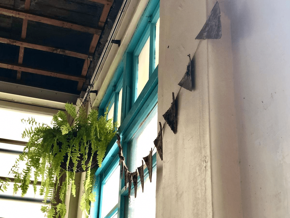 花蓮心地日常花蓮店店內採光佳,綠意盎然 花蓮心地日常花蓮店店內採光佳,綠意盎然