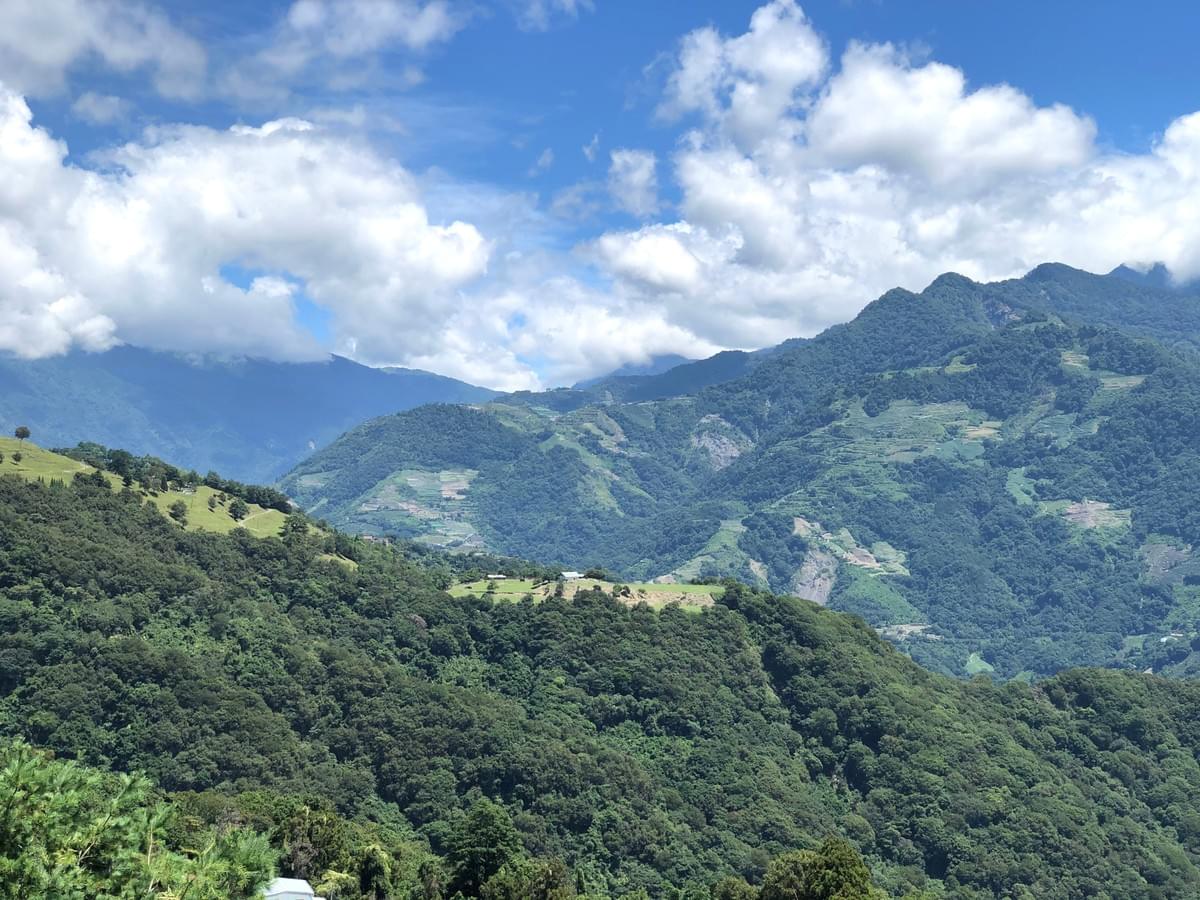 清境來福居民宿|遠眺奇萊山的景觀民宿餐廳 清境來福居民宿|遠眺奇萊山的景觀民宿餐廳