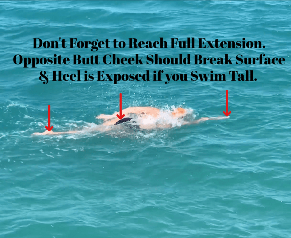 Kirsten Read, KGR Coaching, Open Water Swimming, Technique, Coaching Kirsten Read, KGR Coaching, Open Water Swimming, Technique, Coaching