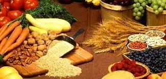 Organic Gardening- An Over View, A Unique Business Opportunity 8 Organic Gardening- An Over View, A Unique Business Opportunity 8