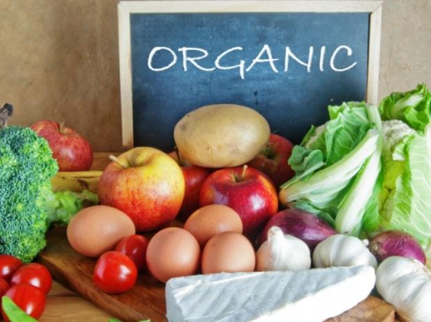 Organic Gardening- An Over View, A Unique Business Opportunity 11 Organic Gardening- An Over View, A Unique Business Opportunity 11