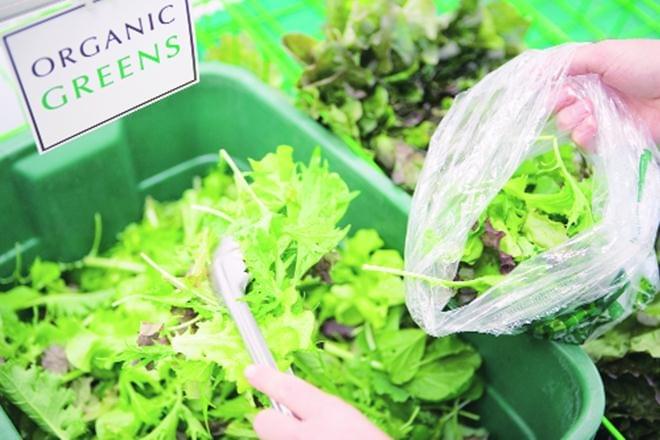 Organic Gardening- An Over View, A Unique Business Opportunity 15 Organic Gardening- An Over View, A Unique Business Opportunity 15