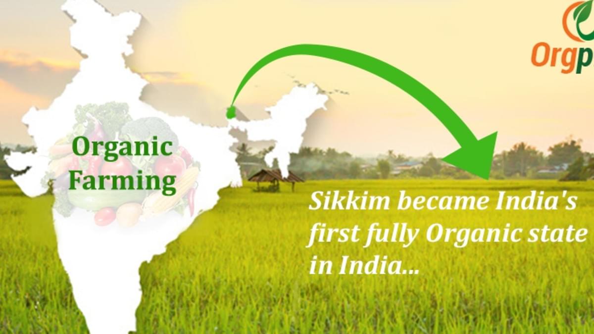 Organic Gardening- An Over View, A Unique Business Opportunity 20 Organic Gardening- An Over View, A Unique Business Opportunity 20